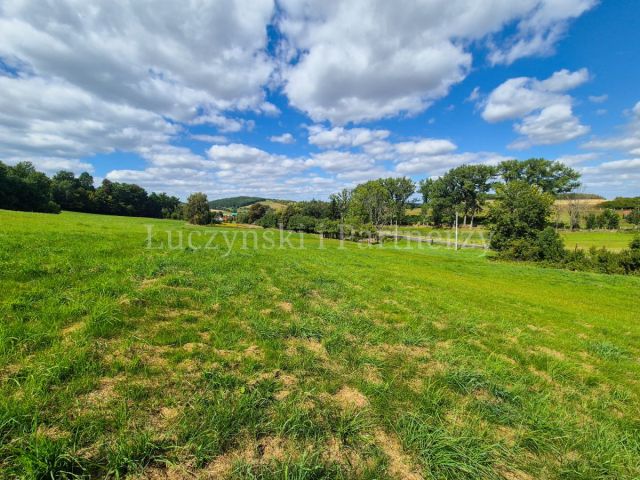 Działka siedliskowa Pławna Górna. Zdjęcie 3