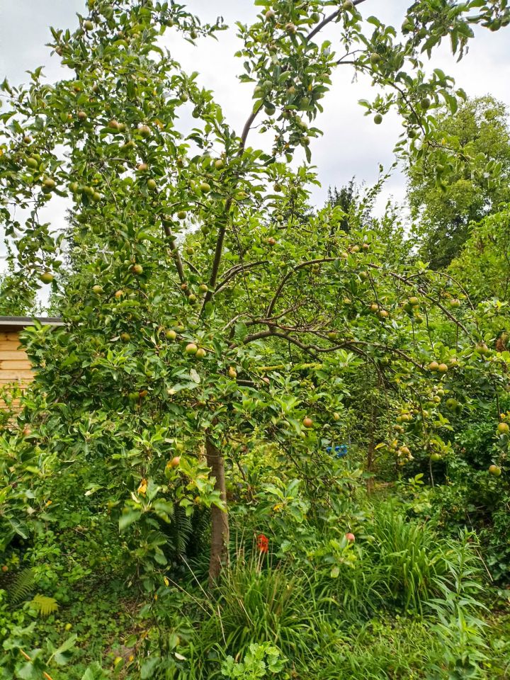 Działka rod Warszawa Mokotów, al. Niepodległości. Zdjęcie 15