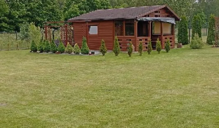 Działka budowlana Drużbice, Drużbice
