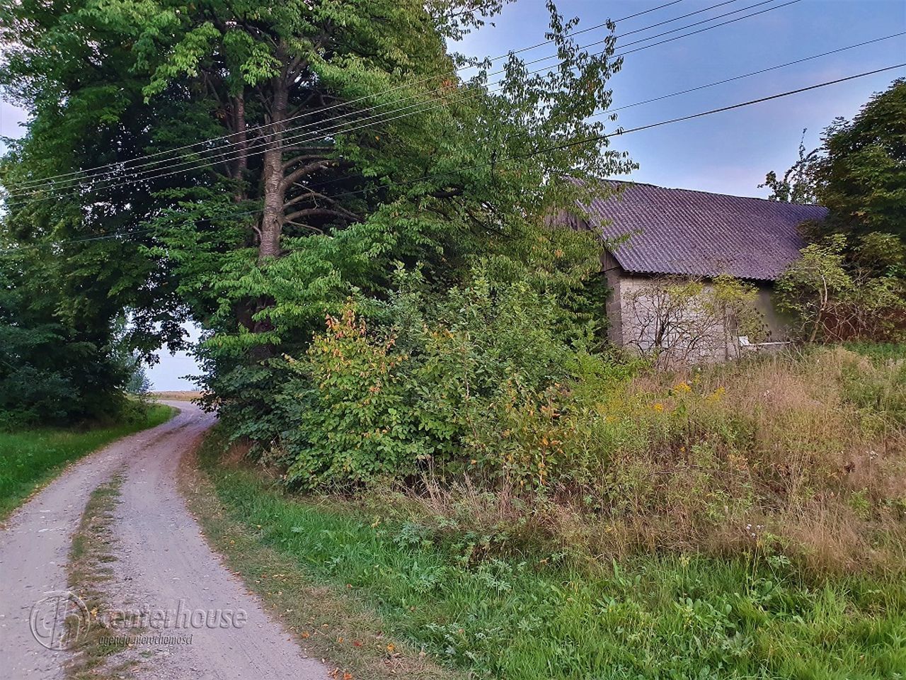 Działka siedliskowa Borek Stary. Zdjęcie 9