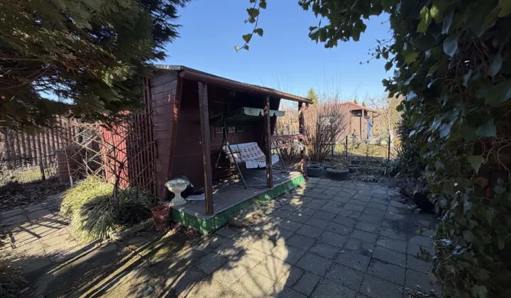 Działka rod Ostrów Wielkopolski, ul. Grunwaldzka