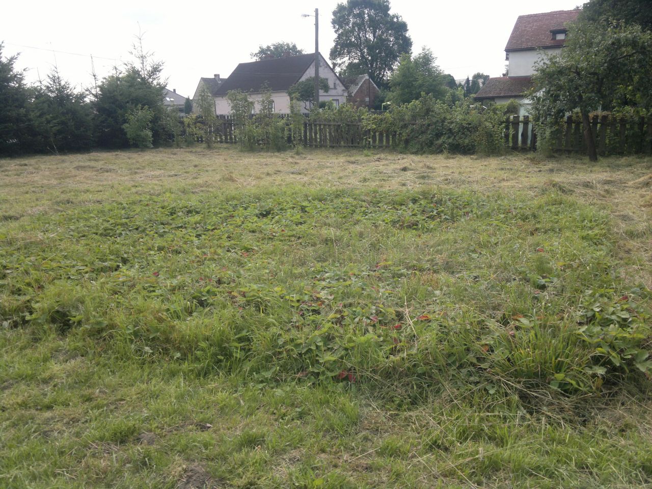 Działka budowlana Zielona Góra Zatonie, ul. Zielonogórska. Zdjęcie 2