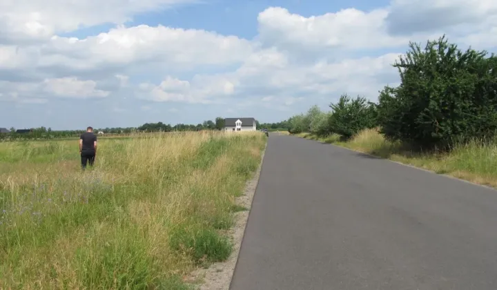 Działka inna Pawłowice, ul. Pawłowicka