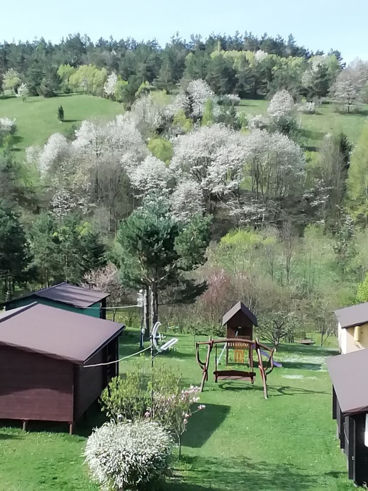 siedlisko, 7 pokoi Turzańsk. Zdjęcie 6