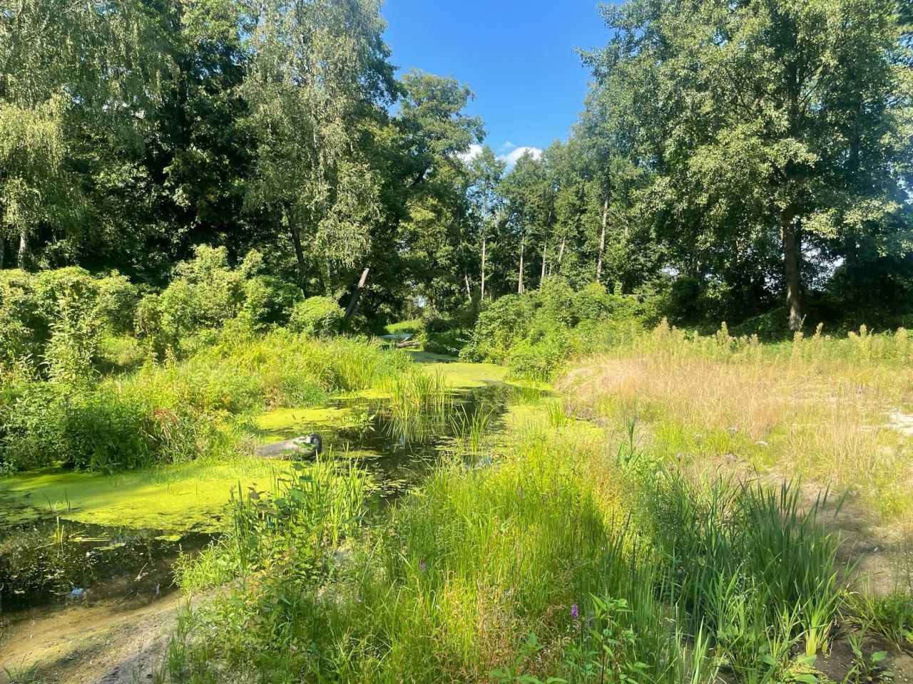 Działka budowlana Chrzczanka-Folwark. Zdjęcie 4