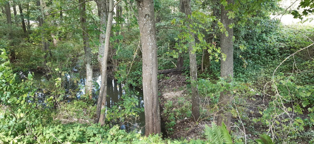 Działka rekreacyjna Boćwinka. Zdjęcie 11