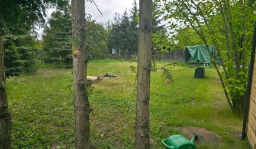 Działka rod Ciechanów