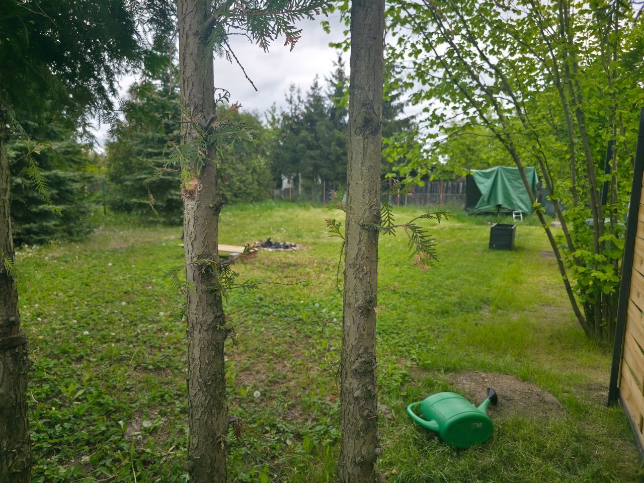 Działka rod Ciechanów. Zdjęcie 2