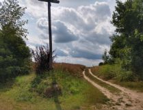 Działka rolna Iłża, ul. św. Franciszka. Zdjęcie 2