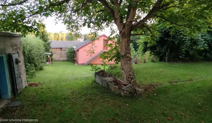 dom wolnostojący Iwaniska