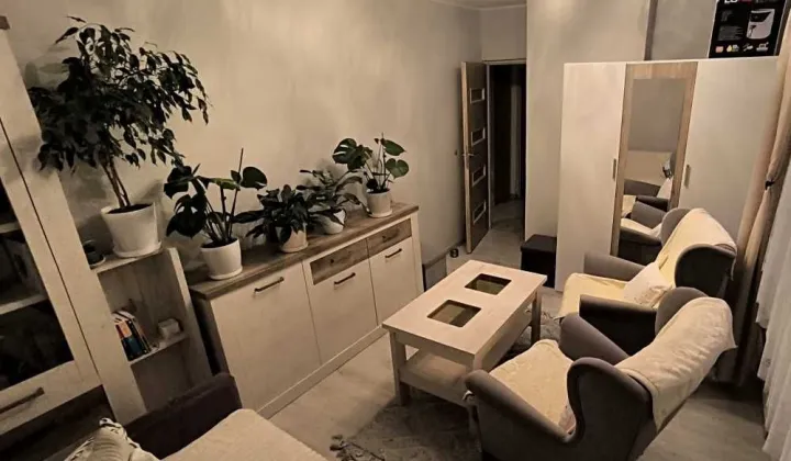 Mieszkanie 3-pokojowe Krzyżowice