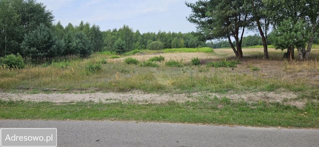 Działka rolno-budowlana Topór. Zdjęcie 1