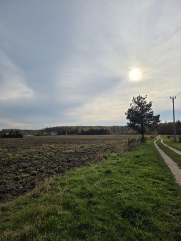 Działka rolno-budowlana Korpele. Zdjęcie 1