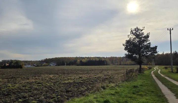 Działka rolno-budowlana Korpele