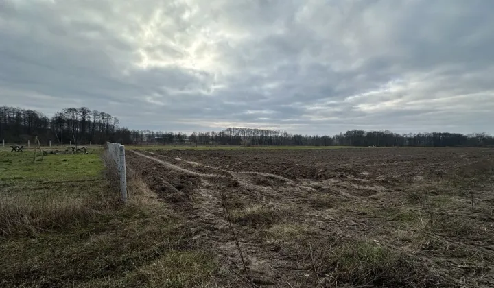 Działka budowlana Szwelice