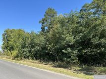 Działka rolna Trawniki-Kolonia. Zdjęcie 3