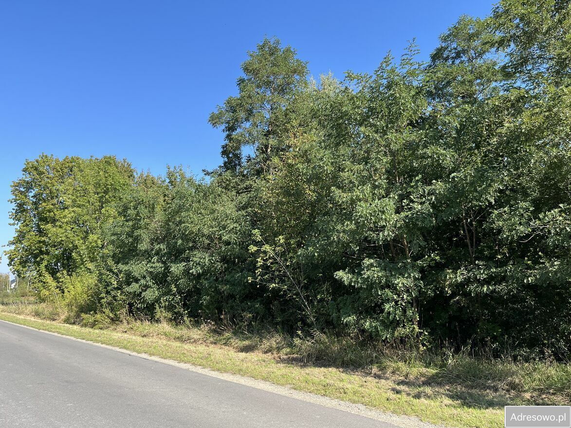 Działka rolna Trawniki-Kolonia. Zdjęcie 4