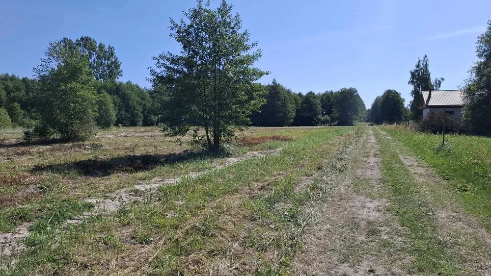 Działka budowlana Radziwiłłów, ul. Zielna. Zdjęcie 5