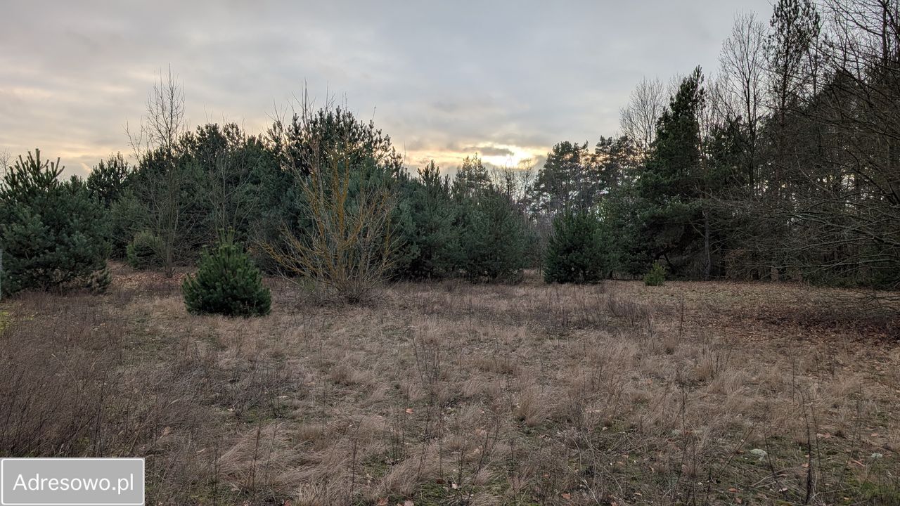 Działka budowlana Krubin, ul. Czerwienna. Zdjęcie 8