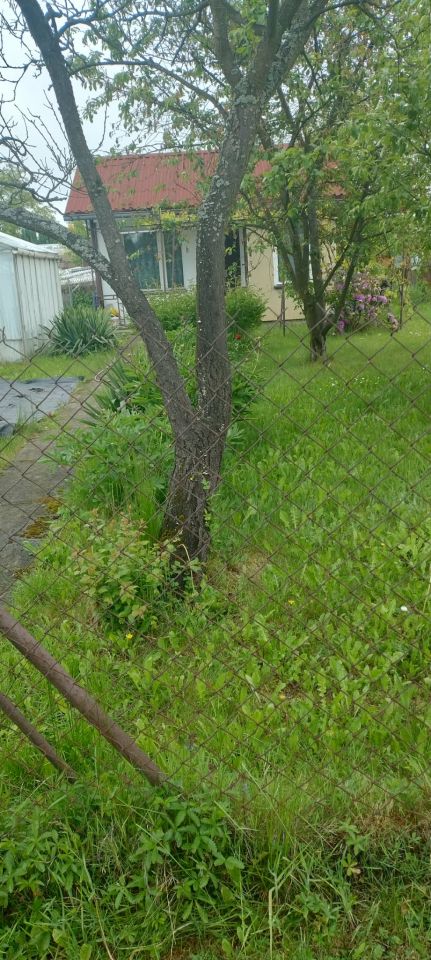 Działka rod Zaborze Borowiec, ul. Tatarska Grobel. Zdjęcie 2