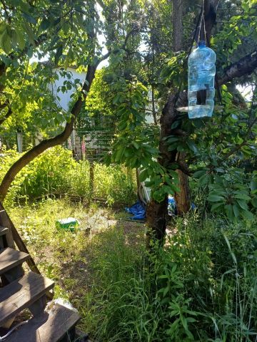 Działka rekreacyjna Żurczyn. Zdjęcie 1