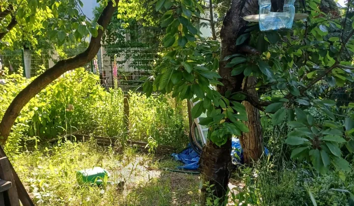 Działka rekreacyjna Żurczyn