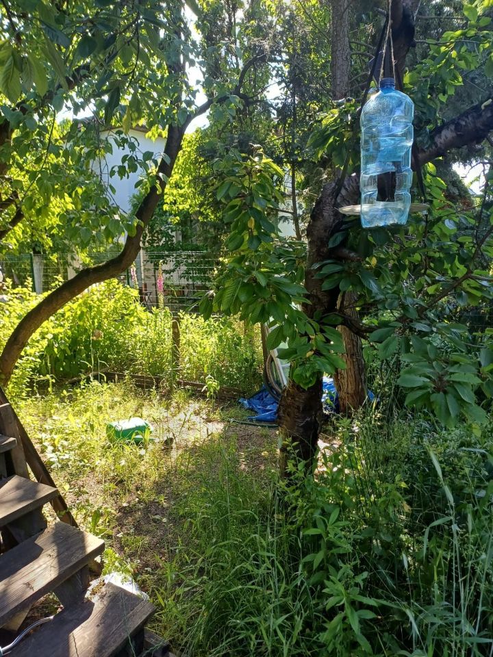 Działka rekreacyjna Żurczyn. Zdjęcie 1