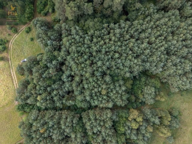 Działka rolna Obrzycko. Zdjęcie 4