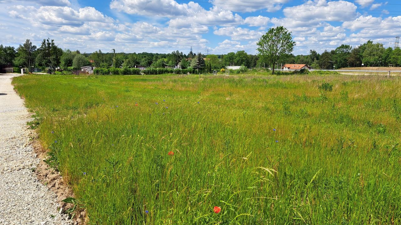 Działka budowlana Sośnicowice, ul. Gimnazjalna. Zdjęcie 5