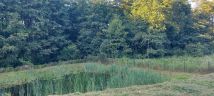 Działka budowlana Ruda. Zdjęcie 2
