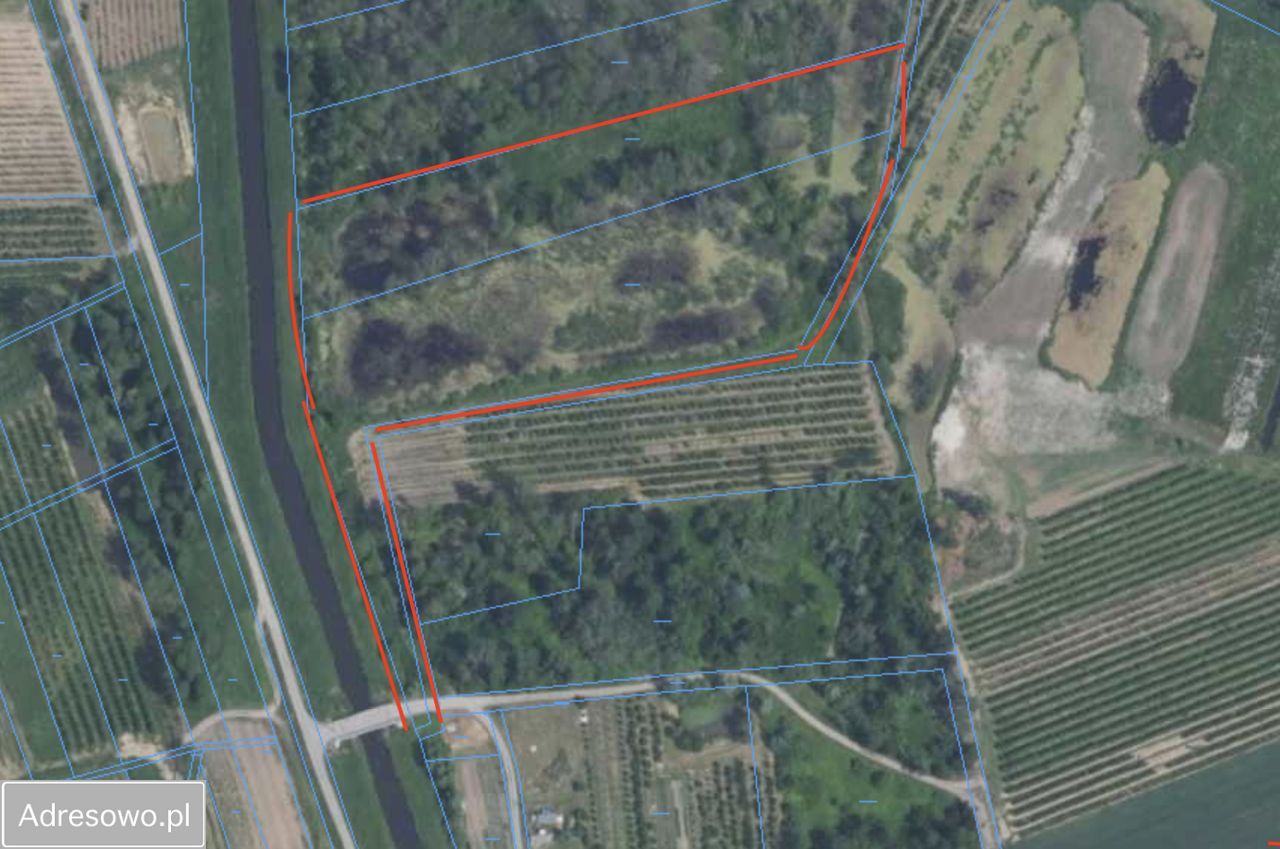 Działka rolna Szczekarków-Kolonia. Zdjęcie 6