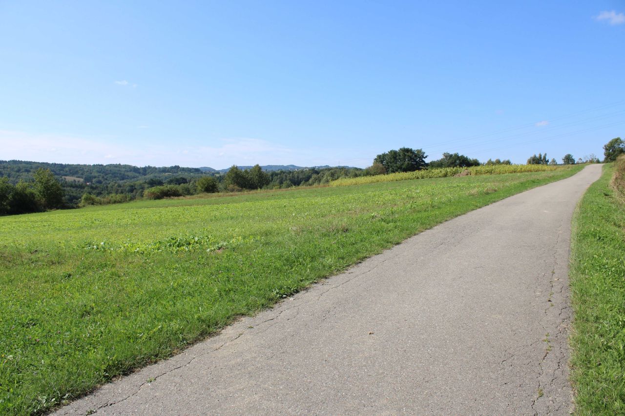 Działka rolno-budowlana Buchcice. Zdjęcie 6