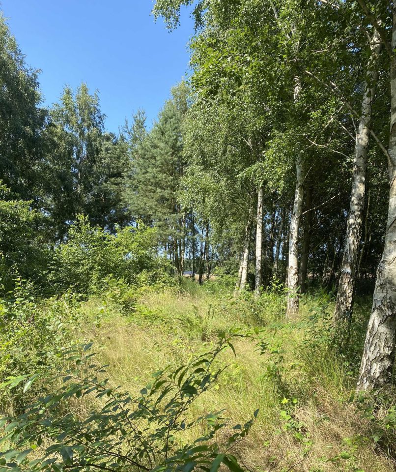 Działka budowlana Mieroszyno, ul. Spacerowa. Zdjęcie 5