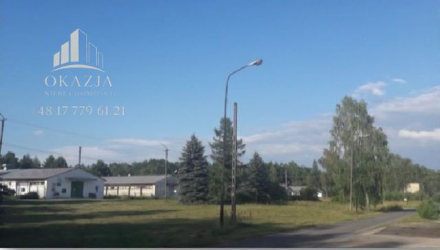 Lokal Wysoka Głogowska. Zdjęcie 5