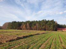 Działka budowlana Radziki Duże. Zdjęcie 1