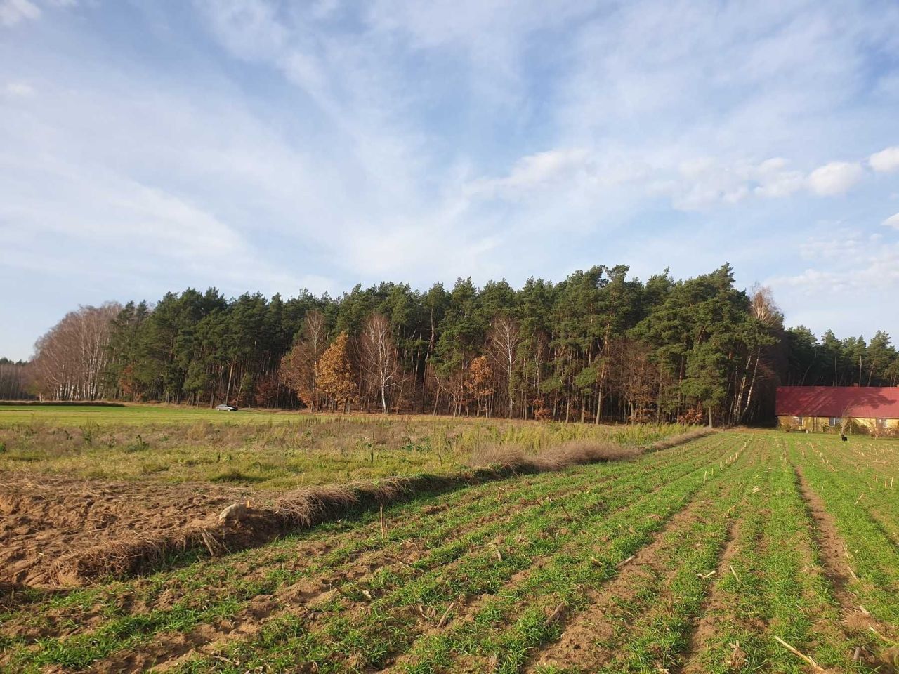 Działka budowlana Radziki Duże. Zdjęcie 2