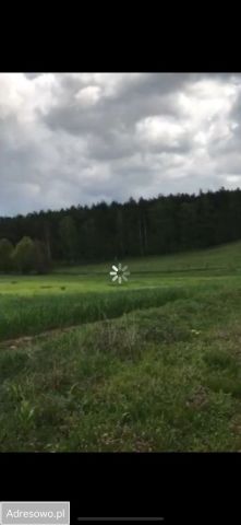 Działka rolno-budowlana Klepin. Zdjęcie 1