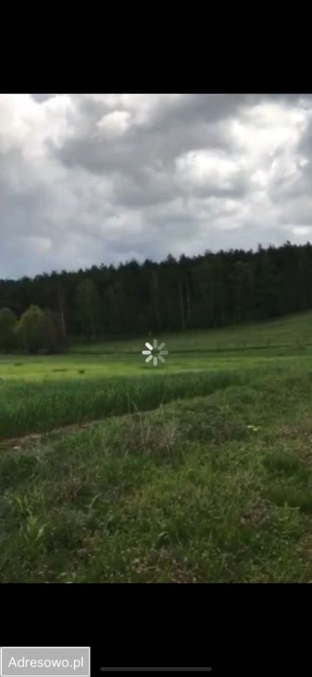 Działka rolno-budowlana Klepin. Zdjęcie 1