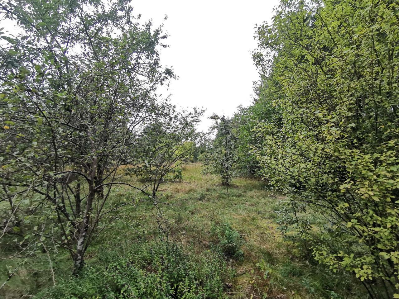 Działka inwestycyjna Złotów. Zdjęcie 7