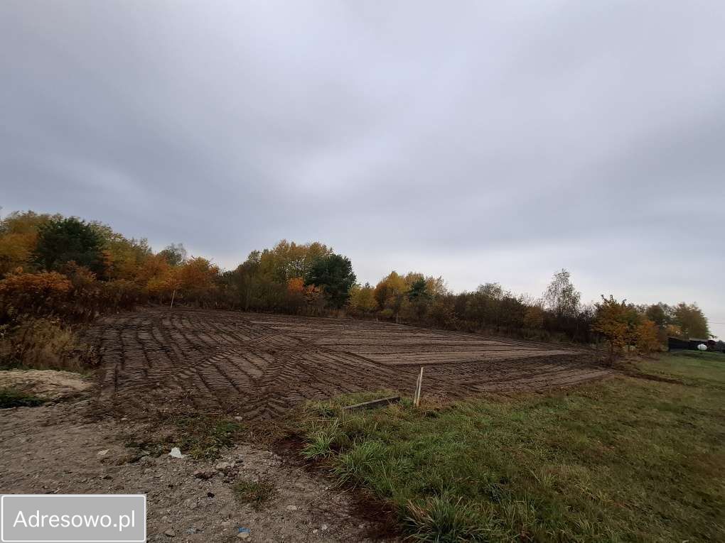Działka rolno-budowlana Dębe Wielkie. Zdjęcie 3