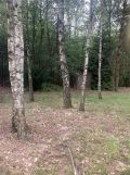 Działka budowlana Apolonia, ul. Akacjowa. Zdjęcie 4