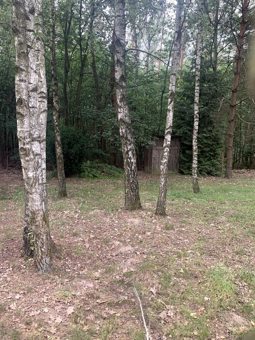 Działka budowlana Apolonia, ul. Akacjowa. Zdjęcie 5