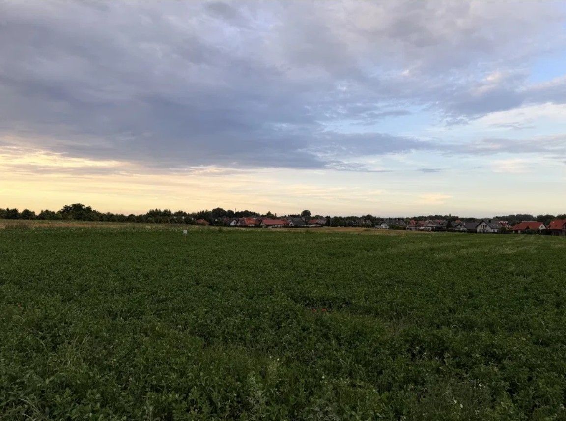 Działka budowlana Pszczółki, ul. Macieja Rataja. Zdjęcie 8