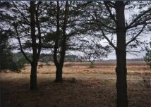 Działka Nowe Ręczaje. Zdjęcie 3