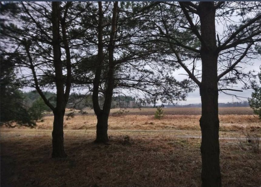 Działka Nowe Ręczaje. Zdjęcie 4