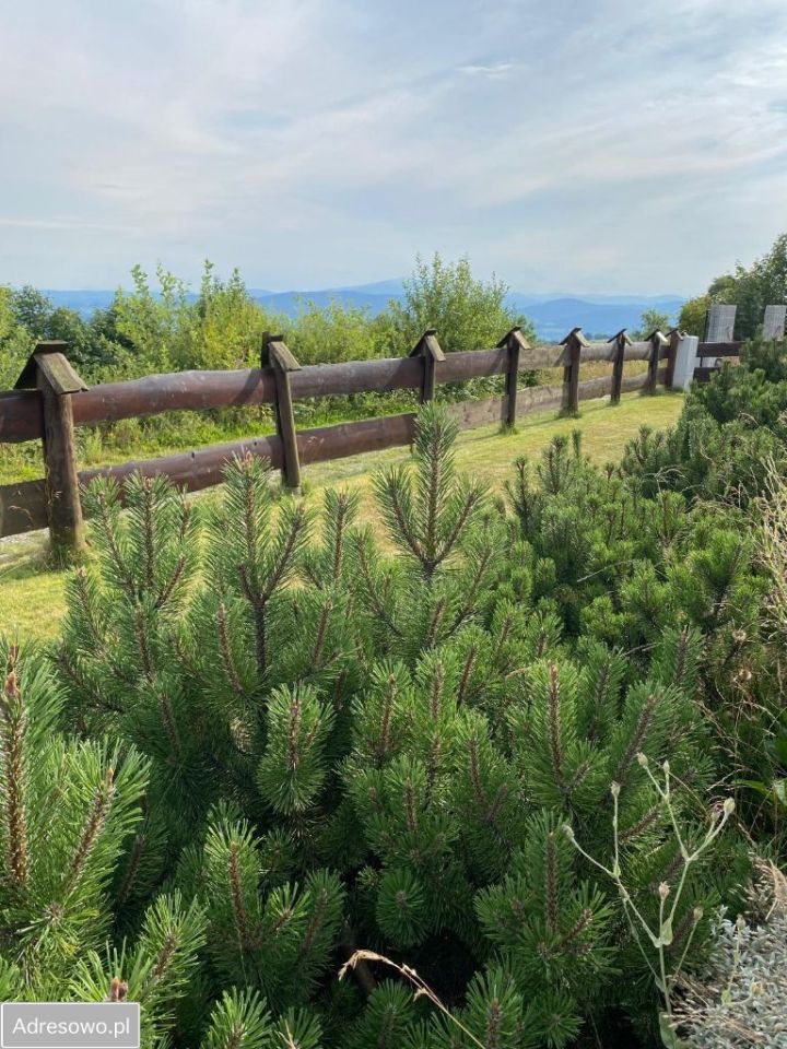 dom wolnostojący, 4 pokoje Zawadka. Zdjęcie 19