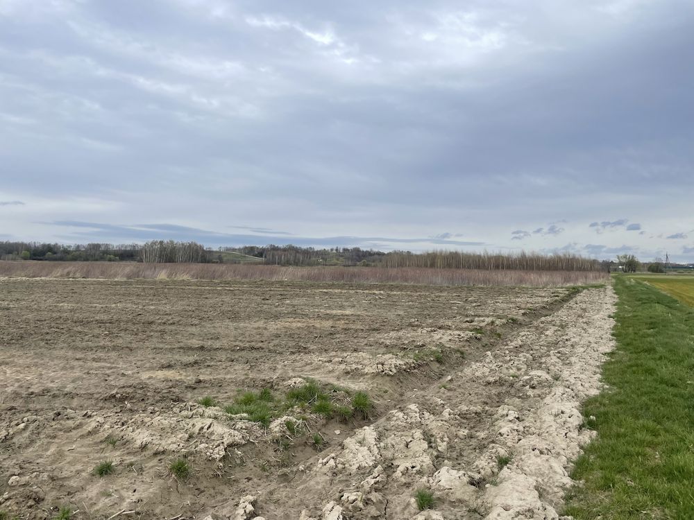 Działka budowlana Straszęcin. Zdjęcie 5