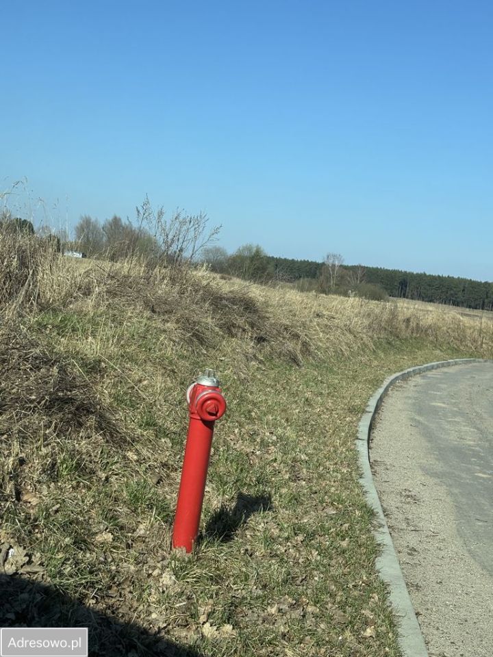 Działka inwestycyjna Modlimowo. Zdjęcie 6