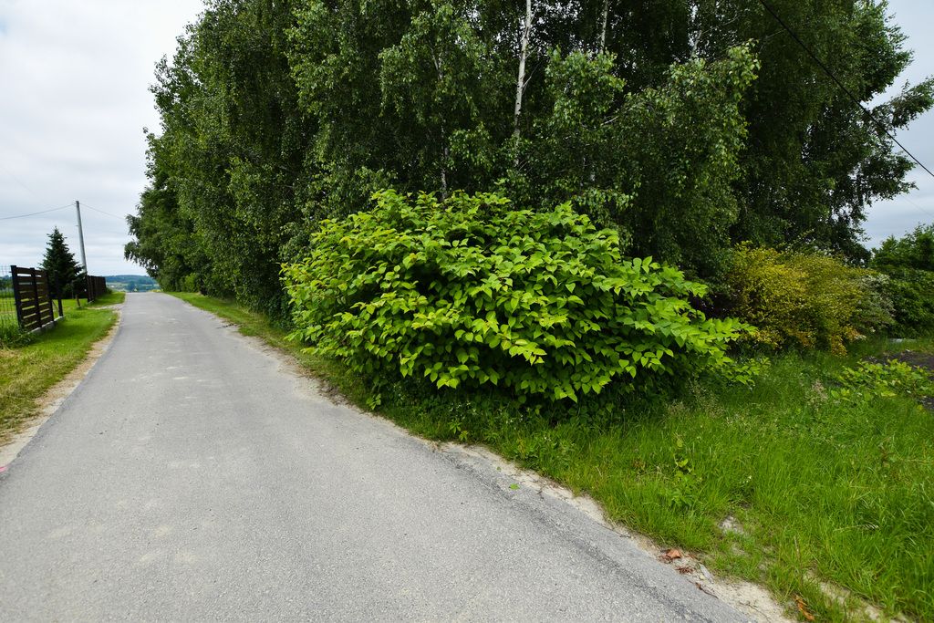 Działka budowlana Handzlówka