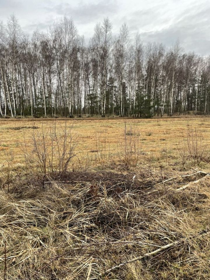 Działka budowlana Wola Rasztowska. Zdjęcie 3